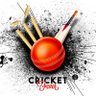 new videos cricket ็ๅคดๅ
