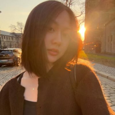 Phương Anh's profile picture