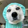 毛资本's profile picture