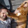 Fromont Gaming's profile picture