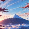 シリュウ profil fotoğrafı