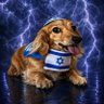 riot's profile picture
