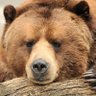Василий Тараканов profil fotoğrafı