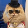 Sean Phan's profile picture
