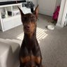 Profilbild von kevin