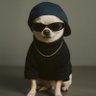 Kelelawar Siang Malam's profile picture