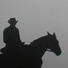 AM's profile picture