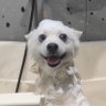 bywr_exeptional's profile picture