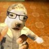 Gio's profile picture