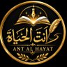 Profilbild von انت الحیات