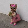 Laurissa profil fotoğrafı