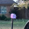 Andrew's profile picture