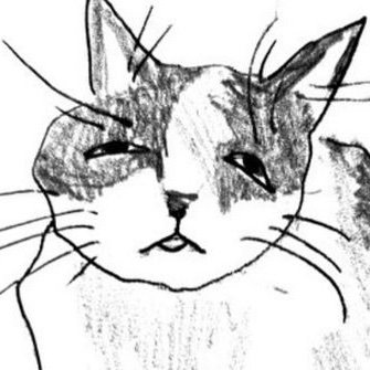 ANGELVIS444's profile picture
