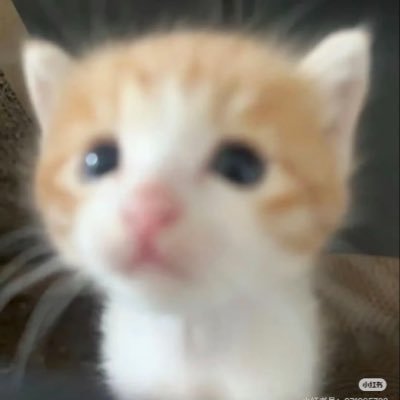 ppssll5555's profile picture