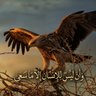 ¶🇸🇦majed ¶ profil fotoğrafı