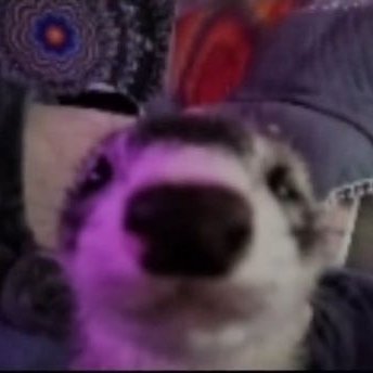 _sumusubo's profile picture
