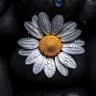 Diyar 的头像