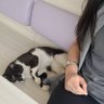 Işıl's profile picture
