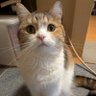 Profilbild von あおりん//絆//健康祈願！