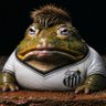 Profilbild von Santos sapo boi