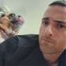 ant v 的头像