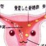 Profilbild von 子宮死