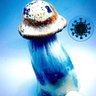 KingOfSpores's profile picture