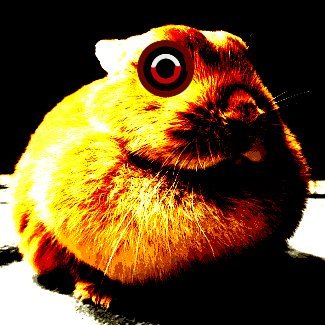 UNCQUILLBOY's profile picture