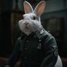 Profilbild von Der Magerhaser 🐰