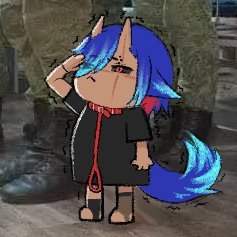notemberdizzy's profile picture