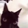 raisin🌿's profile picture