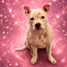 Skye Start's profile picture