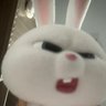 Ynnic's profile picture