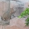 MaddyinAZ🌵 profil fotoğrafı