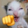 𝒌𝒆𝒏's profile picture