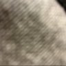 ã·ã«ã â©ïžð/ððŠ's profile picture