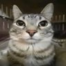 babe magnet profil fotoğrafı