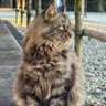 Profilbild von 趣