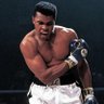 Muhammed Ali's profile picture