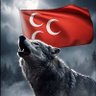 VEZIRHAN🇹🇷🦅's profile picture