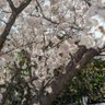 Фото профиля ベリアル