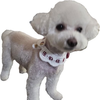 jakeseios's profile picture