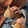 Фото профиля جنى أحمد