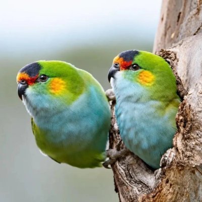 atelier_graeca's profile picture