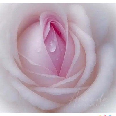 epbpqu's profile picture