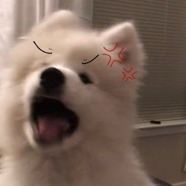 นิมชน์'s profile picture