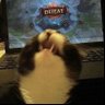 skrakyy's profile picture