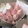 Фото профиля إيلاف فهد