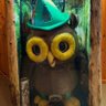 Woodsy profil fotoğrafı