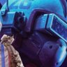 Dman's profile picture